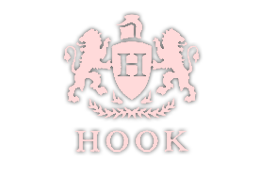 Hook Inc